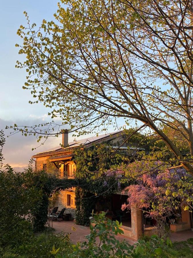 Agriturismo Solidor Pitigliano Exteriör bild
