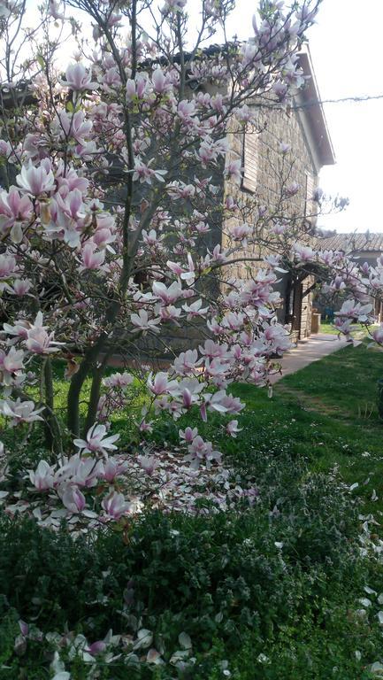 Agriturismo Solidor Pitigliano Exteriör bild