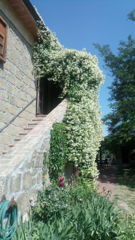 Agriturismo Solidor Pitigliano Exteriör bild