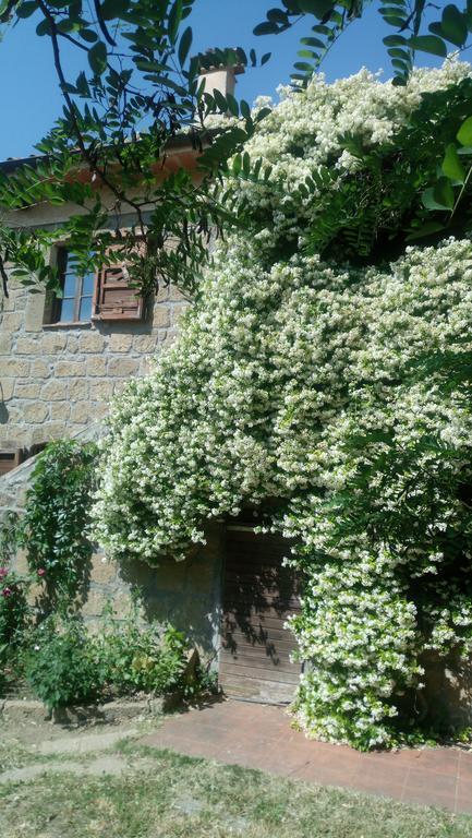 Agriturismo Solidor Pitigliano Exteriör bild